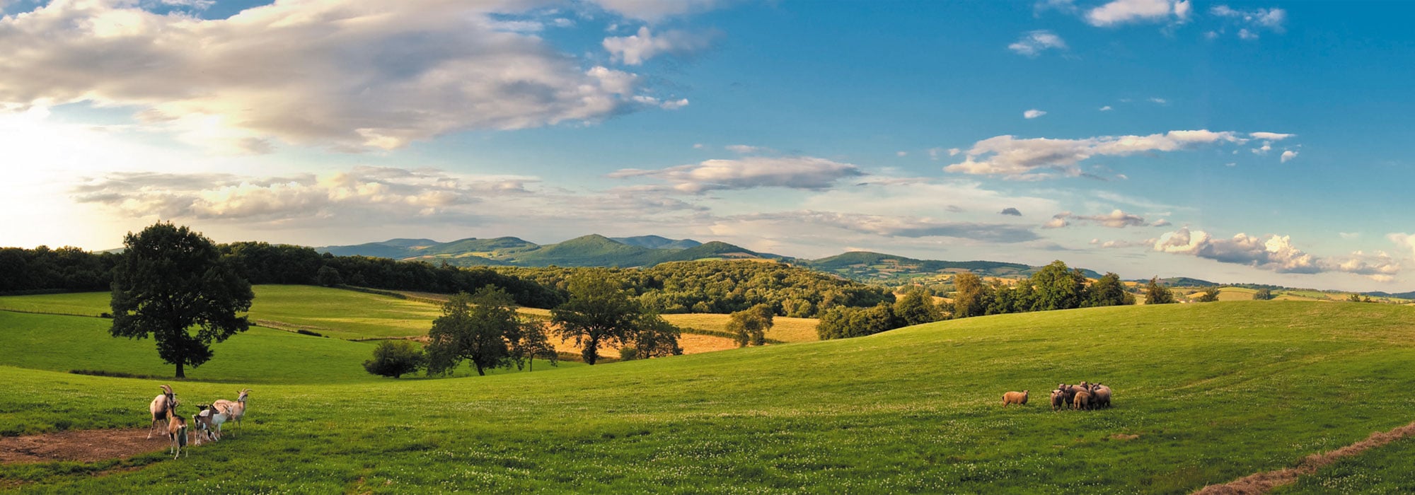 Un environnement naturel & préservé